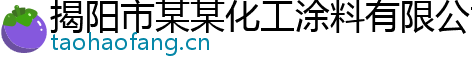 揭阳市某某化工涂料有限公司